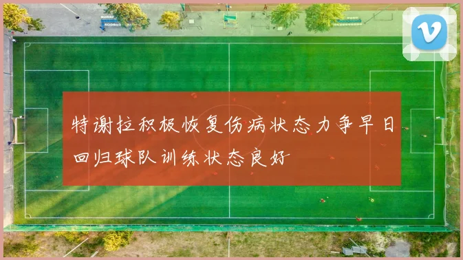 特谢拉积极恢复伤病状态力争早日回归球队训练状态良好